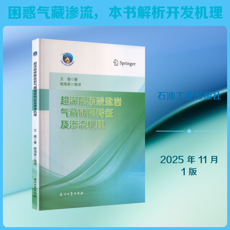 超深层碳酸盐岩气藏储层特征及渗流机理 王璐 著 著 杨海恩 等 译 译 地质学专业科技 新华书店正版图书籍 石油工业出版社