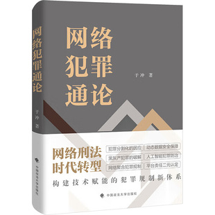 网络犯罪通论 于冲 著 著 法学理论社科 新华书店正版图书籍 中国政法大学出版社