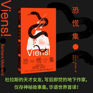 恐慌集 (法)芭芭拉·莫利纳尔 著 著 郁梦非 译 译 外国小说文学 新华书店正版图书籍 广西师范大学出版社