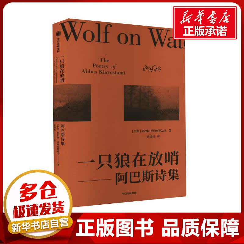 新华书店正版 诗歌