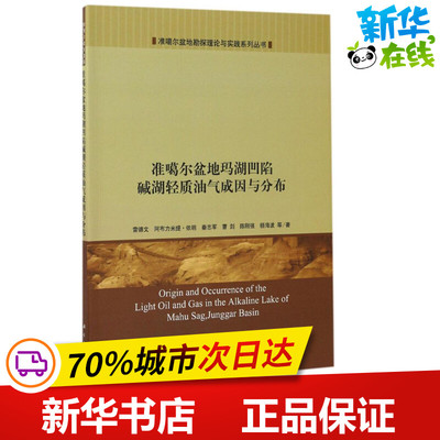 准噶尔盆地玛湖凹陷碱湖轻质油气成因与分布 雷德文 等 著 石油 天然气工业专业科技 新华书店正版图书籍 科学出版社