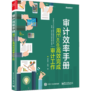 审计效率手册 用Excel高效完成审计工作 涂佳兵,林铖 著 办公自动化软件（新）专业科技 新华书店正版图书籍 电子工业出版社