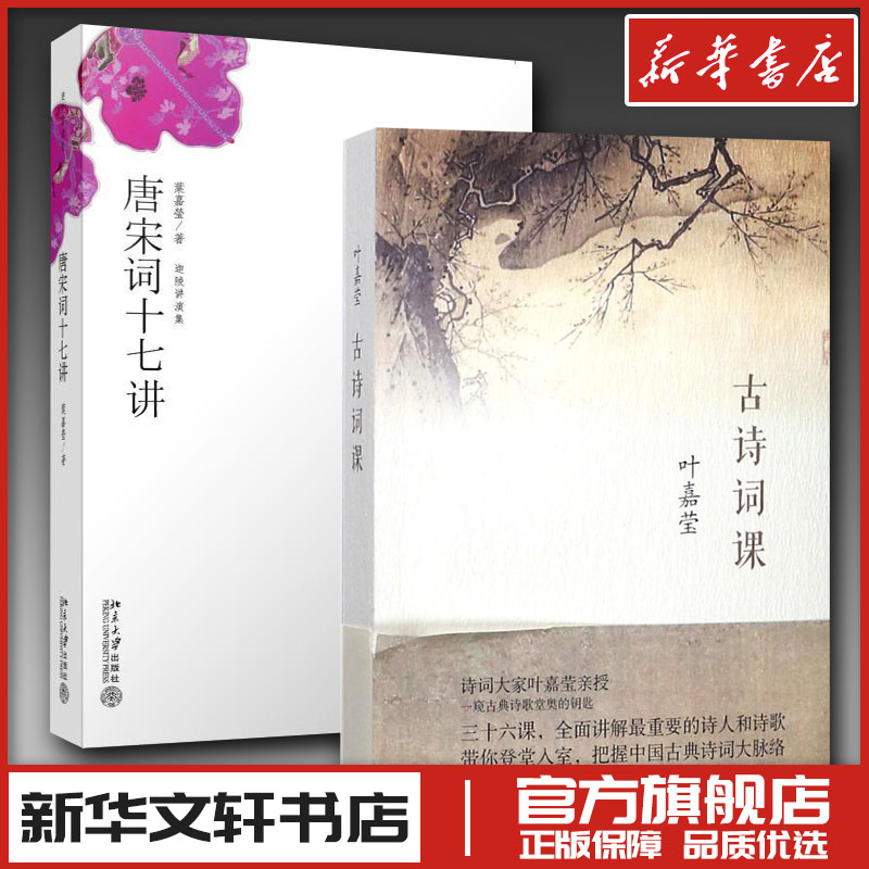 新华书店正版 古典文学理论