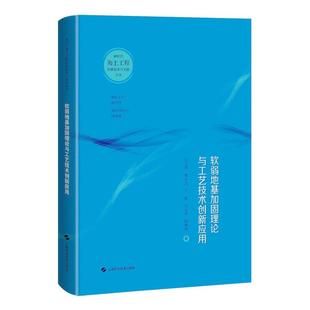 著 等 吕卫清 软弱地基加固理论与工艺技术创新应用 人物 新时代海上工程创新技术与实践丛书 传记其它专业科技