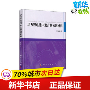 动力锂电池中聚合物关键材料 崔光磊 著作 物理学专业科技 新华书店正版图书籍 科学出版社