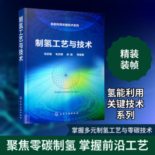 制氢工艺与技术 毛宗强 等 编 能源与动力工程专业科技 新华书店正版图书籍 化学工业出版社