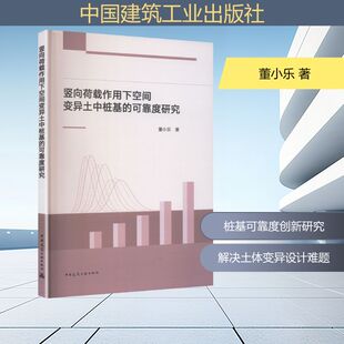 竖向荷载作用下空间变异土中桩基的可靠度研究 董小乐 著 著 建筑/水利（新）专业科技 新华书店正版图书籍 中国建筑工业出版社