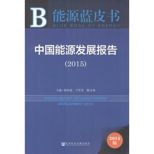 中国能源发展报告.20152015版 崔民选,王军生,陈义和 主编 著 经济理论经管、励志 新华书店正版图书籍 社会科学文献出版社