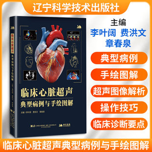 临床心脏超声典型病例与手绘图解 李叶阔,费洪文,章春泉 主编 编 护理学生活 新华书店正版图书籍 辽宁科学技术出版社