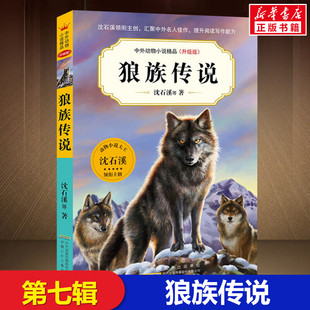 15周歲小學生課外閱讀書籍 小說兒童文學書三四五六年級課外書10 狼族傳說第七輯海島狂鯊沈石溪動物小說全集沈石溪關于狼