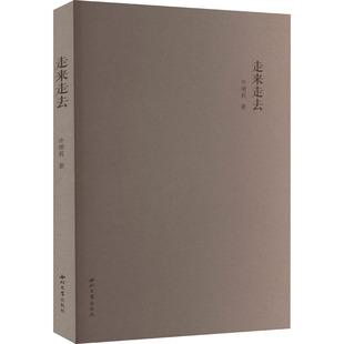 走来走去 许娟莉 著 现代/当代文学文学 新华书店正版图书籍 西北大学出版社