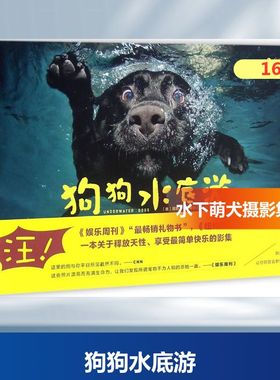 狗狗水底游 (美)赛斯·卡斯蒂尔(Seth Casteel) 著 摄影艺术（新）艺术 新华书店正版图书籍 京华出版社