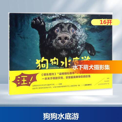 新华书店正版 摄影作品