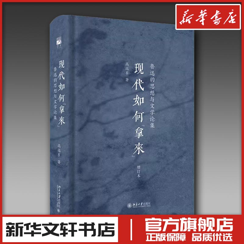 新华书店正版 中国现当代文学理论