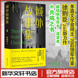 域外故事集 徐则臣 著 著 现代/当代文学文学 新华书店正版图书籍 译林出版社
