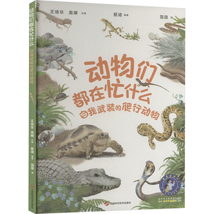 动物们都在忙什么 自我武装的爬行动物 王德华,禹娜;蔡波 编 科普百科少儿 新华书店正版图书籍 上海科学技术出版社