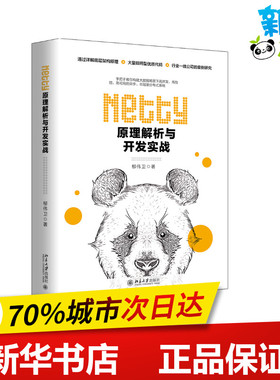 Netty原理解析与开发实战 柳伟卫 著 计算机理论和方法（新）专业科技 新华书店正版图书籍 北京大学出版社