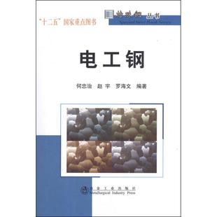电工钢 何忠治,等 著 冶金工业专业科技 新华书店正版图书籍 冶金工业出版社