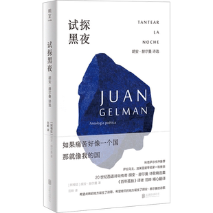试探黑夜：胡安·赫尔曼诗选 (阿根廷)胡安·赫尔曼 著 范晔 译 外国诗歌文学 新华书店正版图书籍 北京联合出版公司