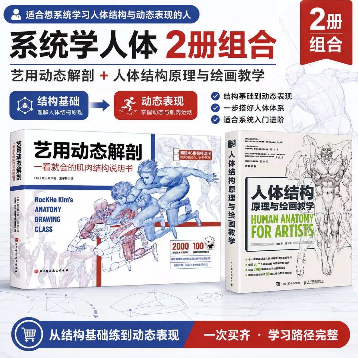 艺用动态解剖+人体结构原理与绘画教学 (韩)金乐熹 著 王子衿 译等 绘画(新)艺术 新华书店正版图书籍 北京科学技术出版社等