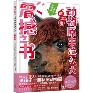 动物原来这么大 萌宠馆 (日)高冈昌江 著 王志庚 译 (日)柏原晃夫 绘 科普百科少儿 新华书店正版图书籍 海豚出版社