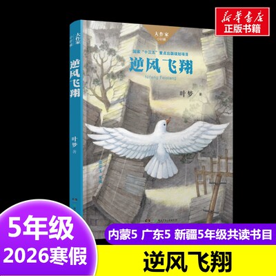 逆风飞翔六年级叶梦著2026年寒假五年级阅读书目内蒙古广东新疆粤韵书香语润新疆湖南少年儿童出版社10-11岁小学生推荐阅读课外书
