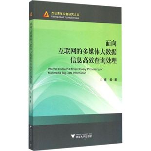 面向互联网的多媒体大数据信息高效查询处理 庄毅 著 著 社会科学其它经管、励志 新华书店正版图书籍 浙江大学出版社
