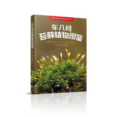 车八岭苔藓植物图鉴 左勤,束祖飞,刘蔚秋 编 生活百科书籍专业科技 新华书店正版图书籍 广东科技出版社