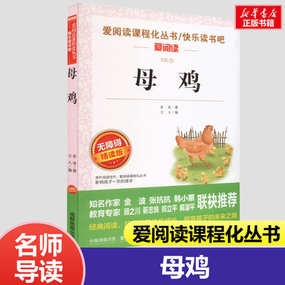 母鸡书籍正版 老舍的书 老舍经典文学作品正版小学生课外书读本散文集名著儿童文学作品选经典赏读本收录我的母亲歪毛儿一封家信