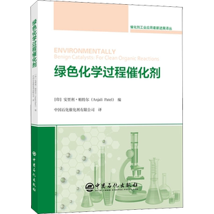 绿色化学过程催化剂 (印)安贾利·帕特尔 编 中国石化催化剂有限公司 译 石油 天然气工业专业科技 新华书店正版图书籍