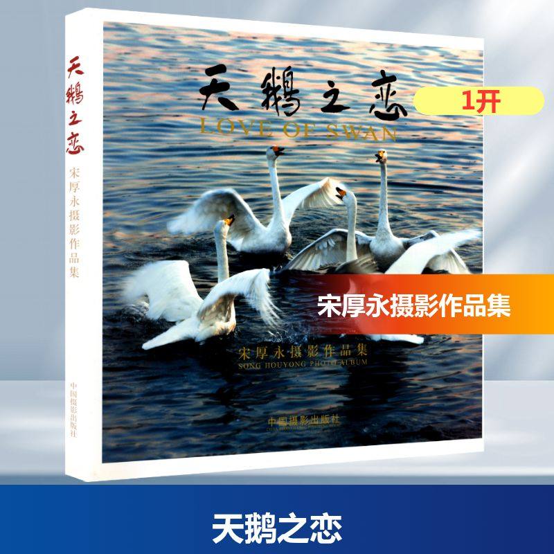 天鹅之恋 宋厚永摄影作品集 宋厚永 摄 著 摄影艺术（新）艺术 新华书店正版图书籍 中国摄影出版社