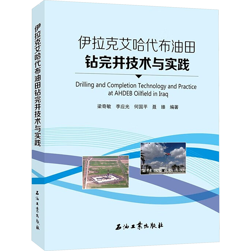 伊拉克艾哈代布油田钻完井技术与实践 梁奇敏,李应光,何国平 等 编 化学工业专业科技 新华书店正版图书籍 石油工业出版社