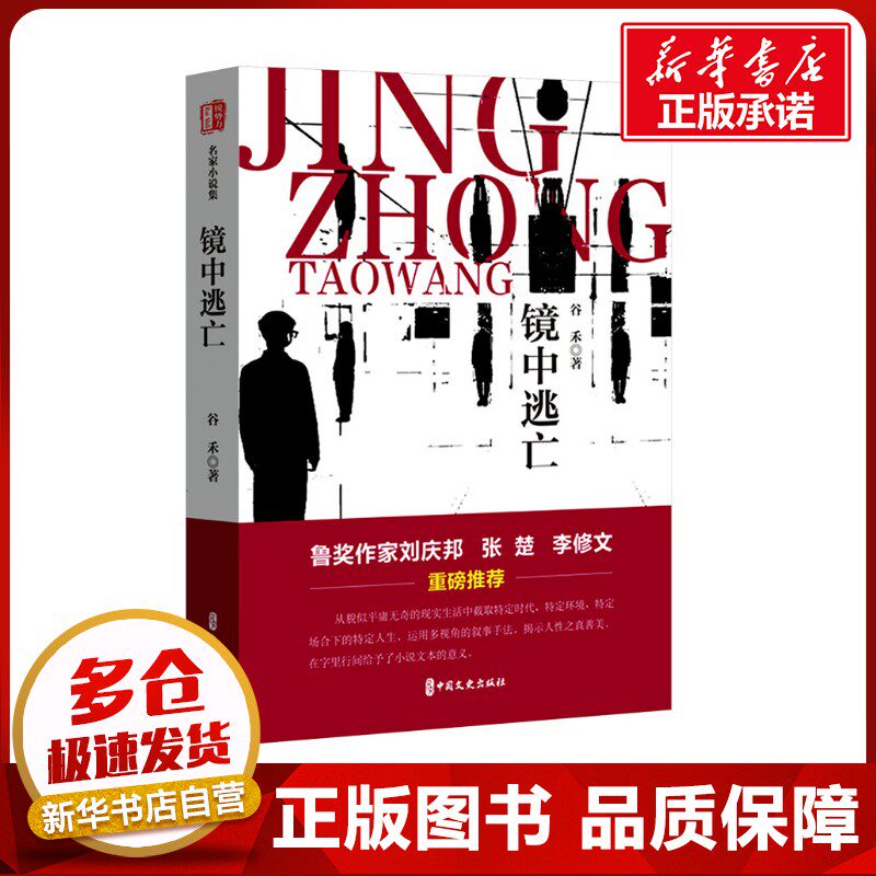 镜中逃亡 谷禾 著 其它小说文学 新华书店正版图书籍 中国文史出版社