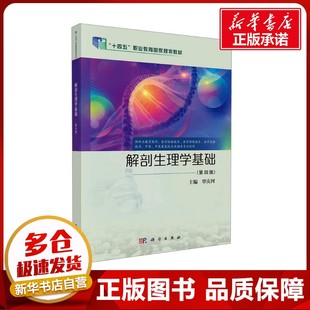 解剖生理学基础(第四版) 覃庆河 编 大学教材大中专 新华书店正版图书籍 科学出版社