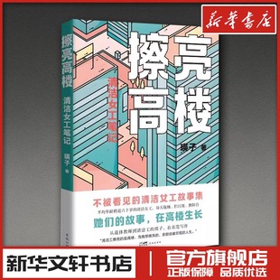 擦亮高楼——清洁女工笔记 瑛子 著 著 中国古代随笔文学 新华书店正版图书籍 花城出版社