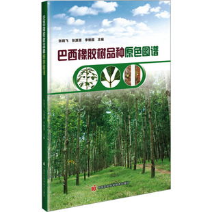 巴西橡胶树品种原色图谱 张晓飞,张源源,李维国 编 畜牧/养殖专业科技 新华书店正版图书籍 中国农业科学技术出版社
