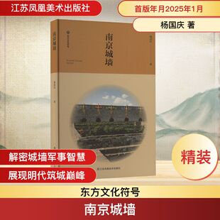 南京城墙 杨国庆 著 地方史志/民族史志社科 新华书店正版图书籍 江苏凤凰美术出版社