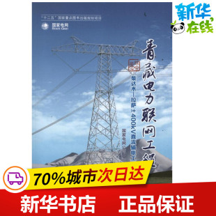 著作 建筑 新华书店正版 国家电网公司 图书籍 专业科技 编 新 青藏电力联网工程.综合卷.柴达木—拉萨±400kV直流输电工程 水利