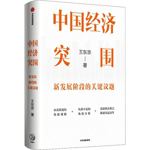 中国经济突围 王东京 著 经济理论经管、励志 新华书店正版图书籍 中信出版社