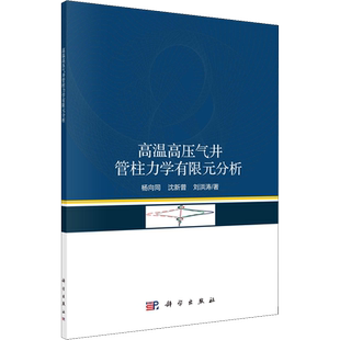 高温高压气井管柱力学有限元分析 杨向同,沈新普,刘洪涛 著 物理学专业科技 新华书店正版图书籍 科学出版社