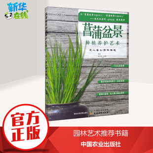 菖蒲盆景种植养护艺术 文人案头清供雅玩 初舍,朱长虹 编 养花书籍专业科技 新华书店正版图书籍 中国农业出版社
