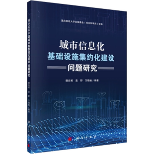 城市信息化基础设施集约化建设问题研究 樊自甫,袁野,万晓榆 编 建筑/水利（新）专业科技 新华书店正版图书籍 科学出版社