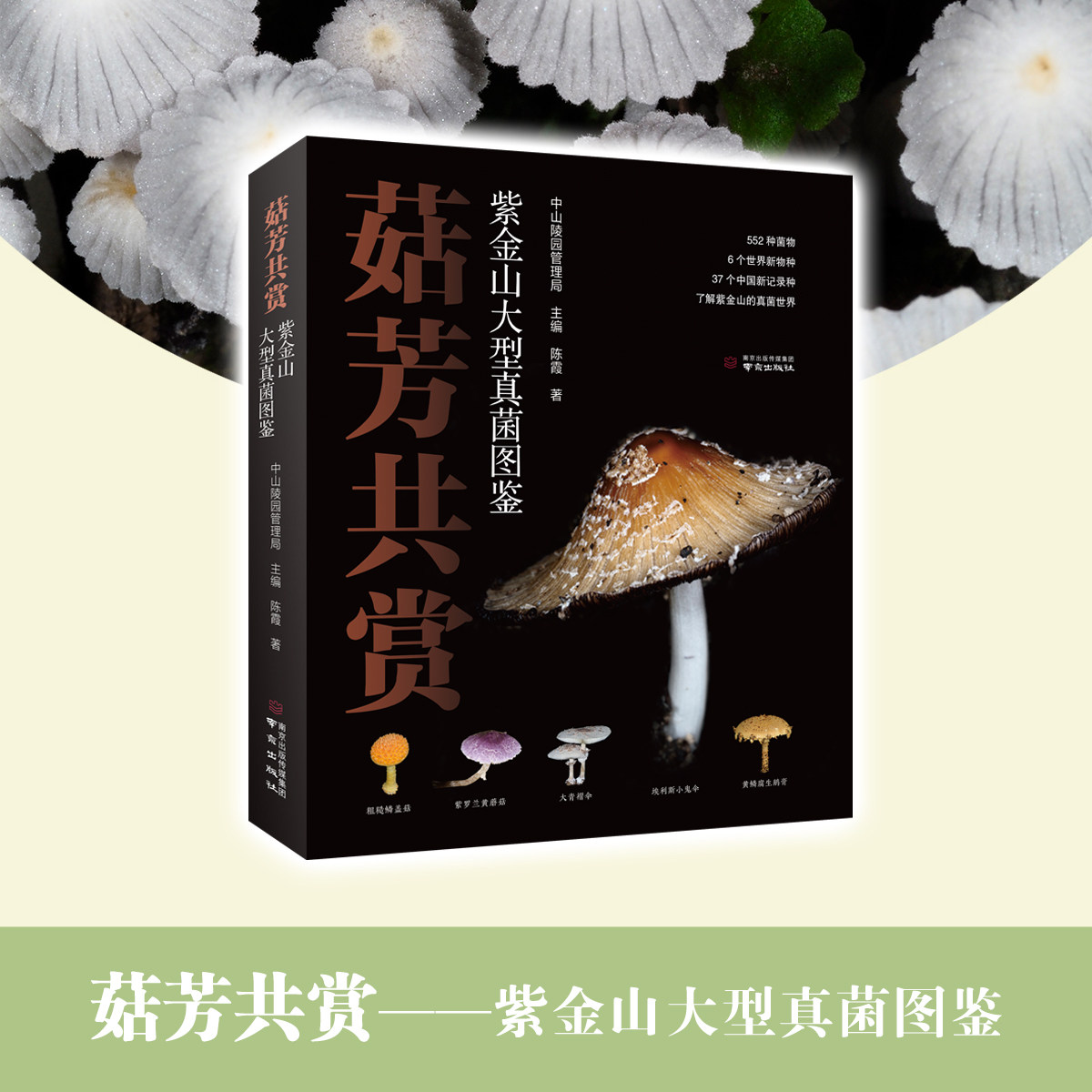 菇芳共赏——紫金山大型真菌图鉴 陈霞 著 中山陵园管理局 主编 科普读物其它专业科技 新华书店正版图书籍 南京出版社