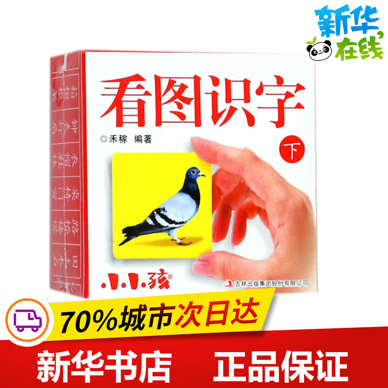 新华书店正版 卡片挂图