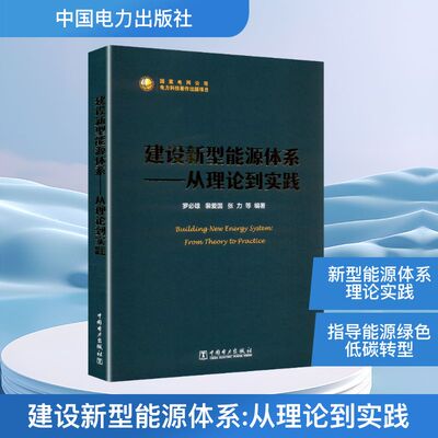 建设新型能源体系——从理论到实践 罗必雄 等 编 石油 天然气工业专业科技 新华书店正版图书籍 中国电力出版社