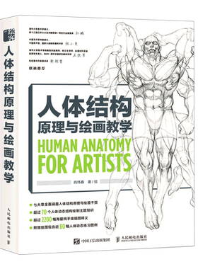 人体结构原理与绘画教学