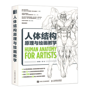 人体结构原理与绘画教学 肖玮春 美术素描画画静物透视画法初学者入门基础教程教材书结构原理造型手绘技法教学绘画书籍 人民邮电
