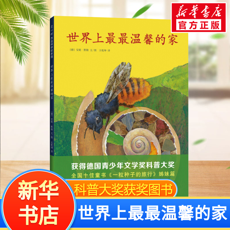 新华书店正版 绘本