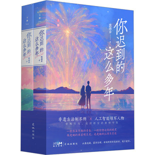 你迟到的这么多年(全2册) 沈南乔 著 青春/都市/言情/轻小说文学 新华书店正版图书籍 花城出版社