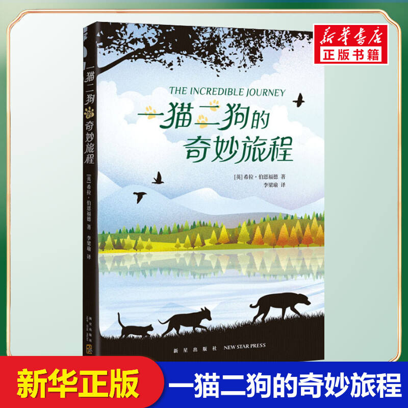 新华书店正版 绘本